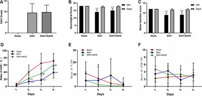 Hydrogen Sulfide Reduces Cognitive Impairment in Rats After Subarachnoid Hemorrhage by Ameliorating Neuroinflammation Mediated by the TLR4/NF-κB Pathway in Microglia